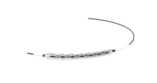 Stent 2.png